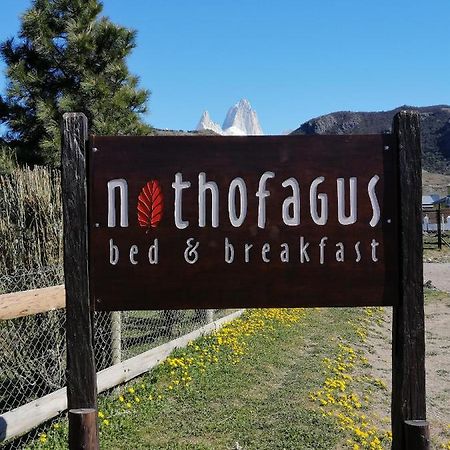 Nothofagus Bed & Breakfast El Chalten Kültér fotó